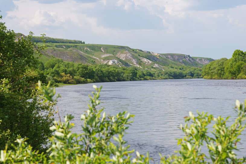 Меловые склоны реки Дон в окрестностях села Белогорье в 150 км к югу от Воронежа