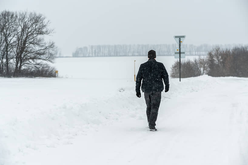 На фото — окраина приграничного села Терезовка Шебекинского городского округа. Посадки в километре впереди — линия государственной границы