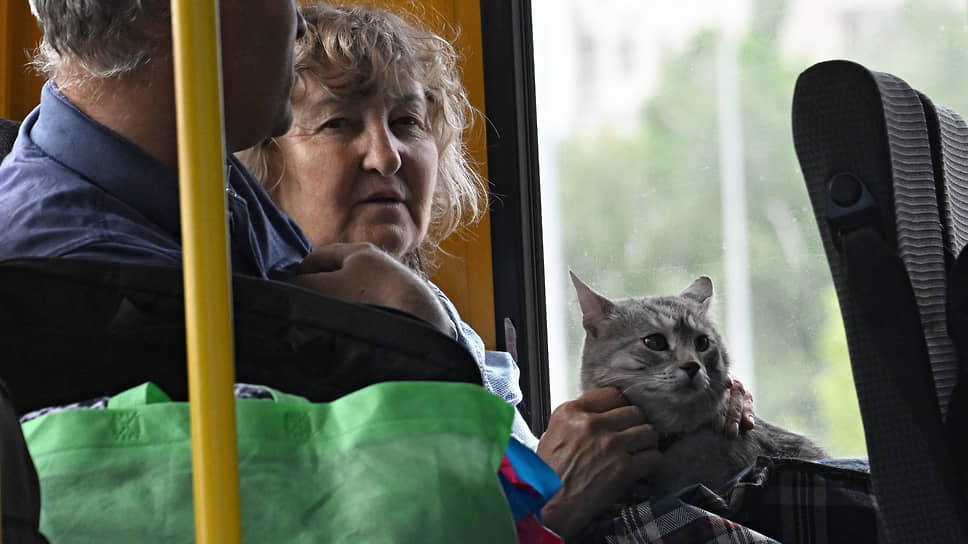 Из приграничных районов в белгородские ПВР граждан довозят на школьных автобусах