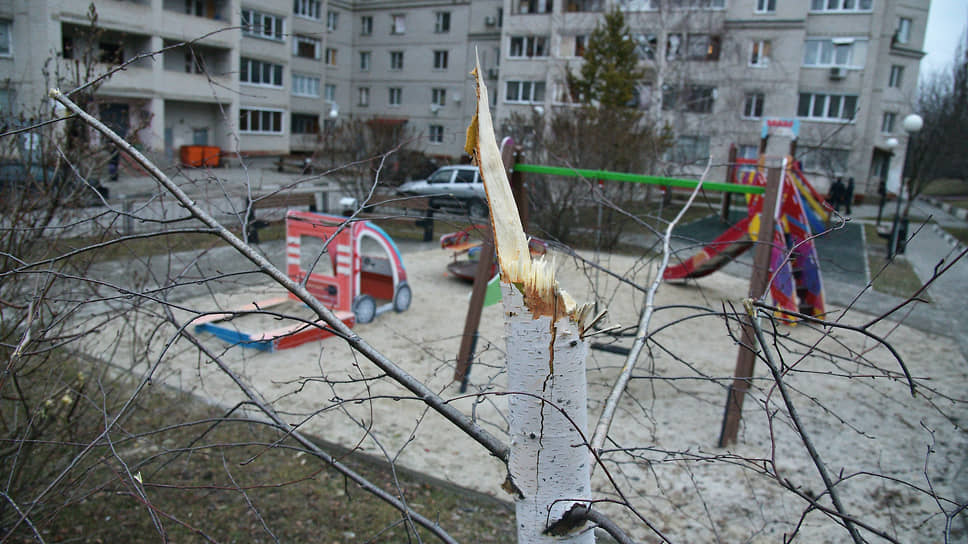 Срубленная осколками береза и детская площадка рядом с местом попадания во дворе на улице Губкина