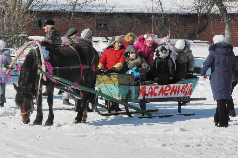 Дети катаются на санях.  Россошанский район Воронежской области, 2015 год