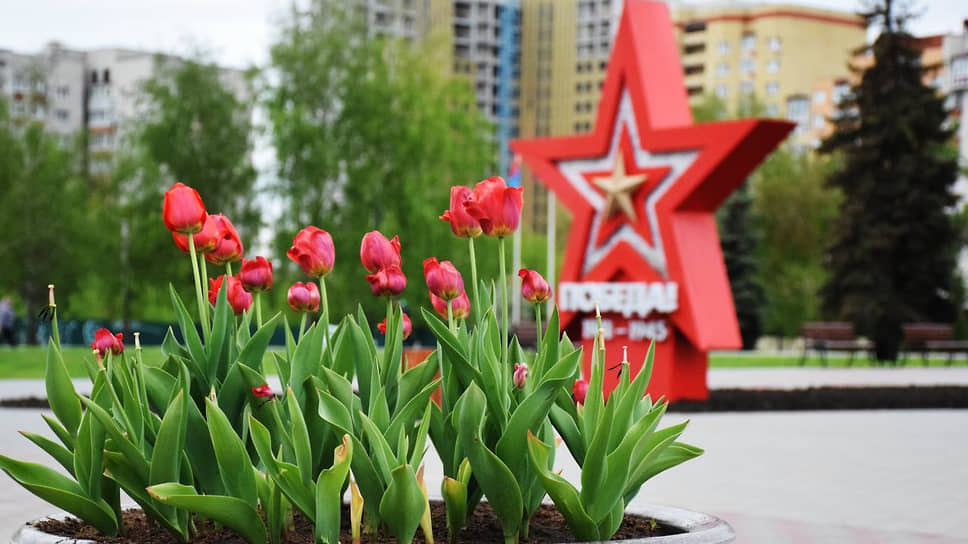 Цветущие тюльпаны на фоне красной звезды с надписью «Победа» в Тамбове