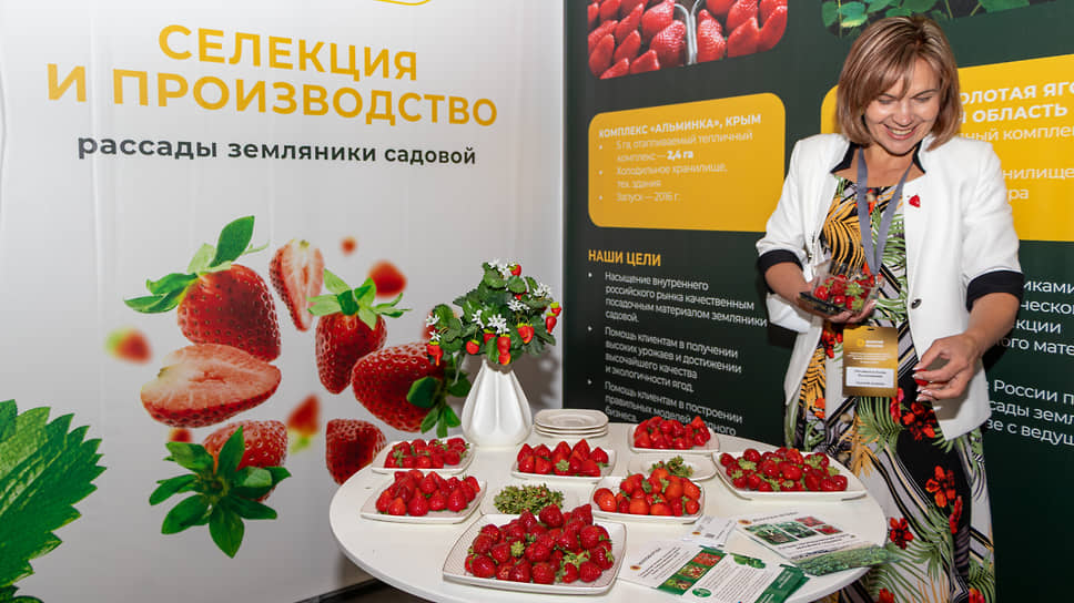 В конце каждой экскурсии гостей праздника угощали сладкой ягодой