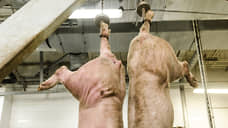 Кровяной интерес