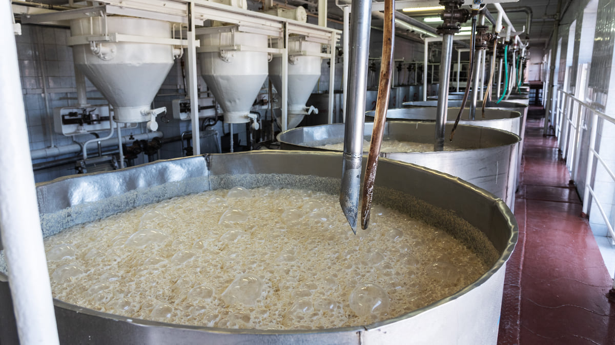 Дрожж земли