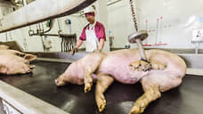 Подсчет по пятачкам