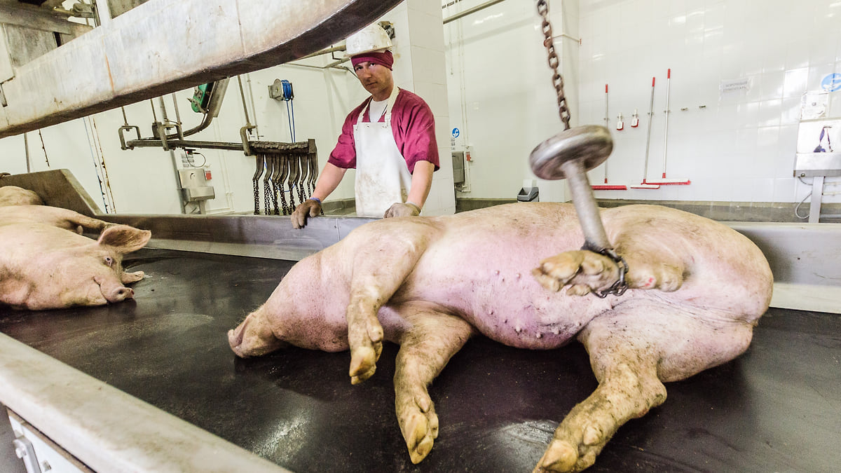 Подсчет по пятачкам