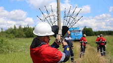 В Ярославской области на ЛЭП устанавливают птицезащитные устройства