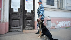 В Ярославле участки для голосования проверили с собаками