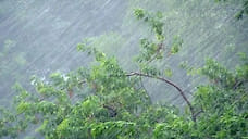 В Ярославской области ожидаются мощные ливни