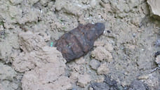 Саперы обезвредили гранату на даче под Ярославлем