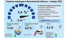 В Ярославской области в январе подорожал бензин и подешевело молоко