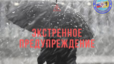 МЧС экстренно предупредило о снегопаде и сильном ветре в Ярославле