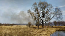 В Ярославской области горят сотни гектаров полей сухой травы
