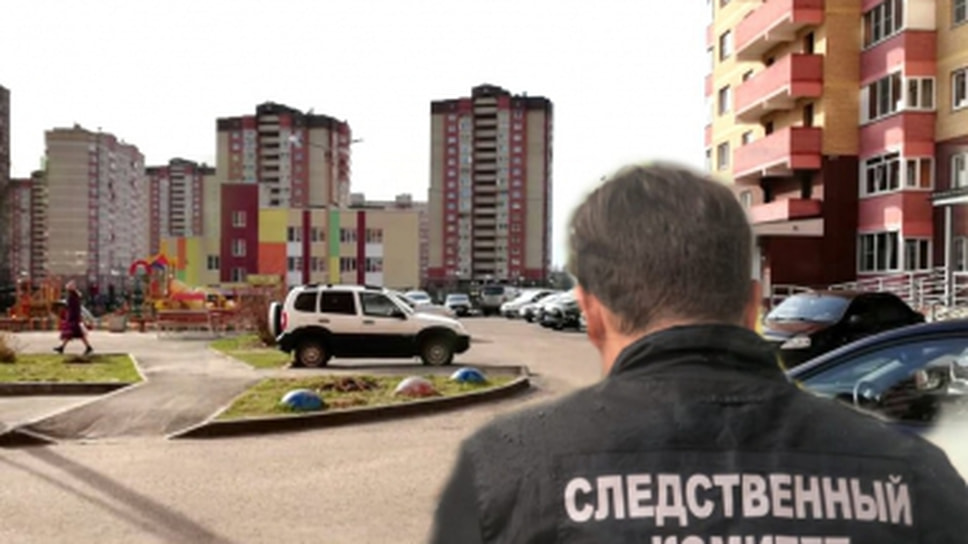 Фото пресс-службы следственного управления СК России по Ярославской области
