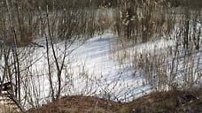 В Ярославской области ищут виновных в загрязнении водоема