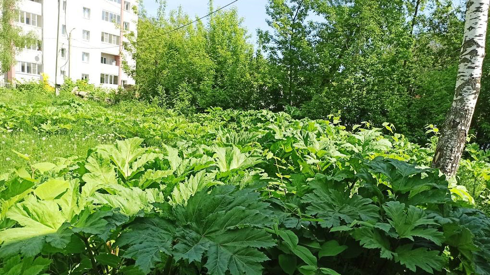 Фото пресс-службы прокуратуры Ярославской области