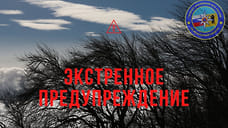 МЧС в Ярославле экстренно предупредило о заморозках в первые дни лета