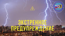 Ярославское МЧС экстренно предупредило о грозе и ливне