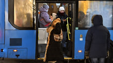 В Ярославской области за два месяца произошло 16 ДТП с автобусами