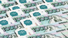 Родители более 40 тысяч ярославских детей смогут получить выплаты от 6 до 11,5 тысяч рублей