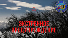 МЧС предупредило ярославцев о сильном ветре