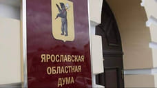 Ярославские депутаты приняли поправки в областной бюджет 2022 года