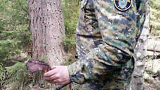 В Ярославской области сотрудники СК нашли обломки самолета времен ВОВ