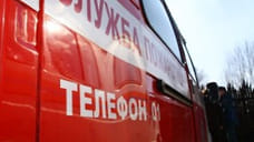 В МЧС раскрыли предположительную причину пожара на ферме в Рыбинском районе