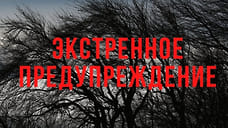 Ярославское МЧС предупредило о сильном ветре 10 мая