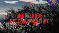 МЧС по Ярославской области предупреждает о сильном ветре вечером 12 мая