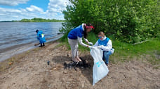 На берегу Угличского водохранилища собрали 600 кг мусора в ходе акции «Вода России»