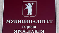 Выборы в муниципалитет Ярославля будут стоить бюджету 35 млн рублей