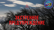МЧС предупредило ярославцев о грозе с сильным ветром