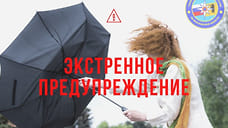 В Ярославской области дождь и сильный ветер сохранятся на сутки