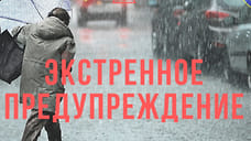 В Ярославской области в ближайшие сутки ожидаются дождь и усиление ветра