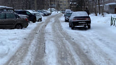 В Ярославле возбуждено уголовное дело из-за виртуальной зимней уборки