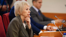 Ярославским депутатам не понравилось слово «кешбэк»