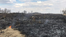 МЧС: В Ярославской области начались палы сухой травы