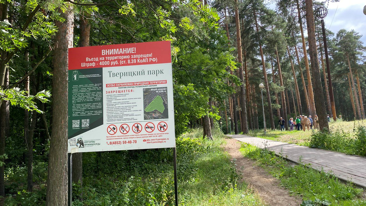 Вокруг Тверицкого бора в Ярославле предложили сделать велодорожку –  Коммерсантъ Ярославль