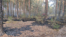 В Ярославском районе потушили лесной пожар