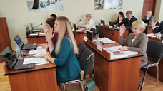 Муниципальный совет Рыбинска возглавила Светлана Кочегарова