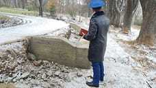 Подрядчик нарушил график благоустройства Павловской рощи