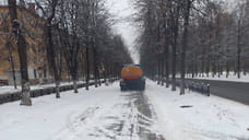 В Ярославле ищут подрядчика для уборки снега в парках