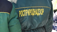 К ярославскому управлению Росприроднадзора присоединят ивановское и владимирское