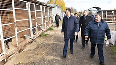 В Ярославле собачий приют «Спецавтохозяйства» перейдет «Горзеленхозстрою»