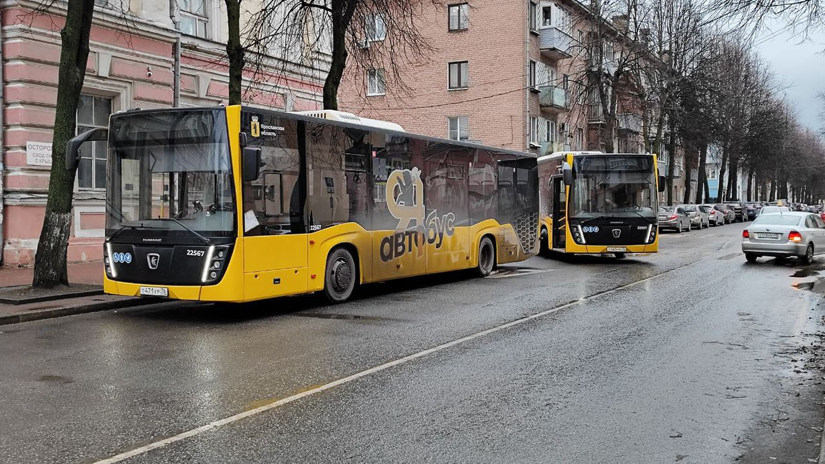 Депутат предложил сделать бесплатным проезд в желтых автобусах в Ярославле  – Коммерсантъ Ярославль