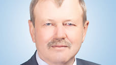Шойгу наградил медалью гендиректора «ТМЗ»