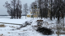 При вырубке деревьев на территории Угличского кремля не нашли нарушений