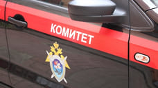 В Ярославле возбудили уголовное дело из-за исчезновения ребенка